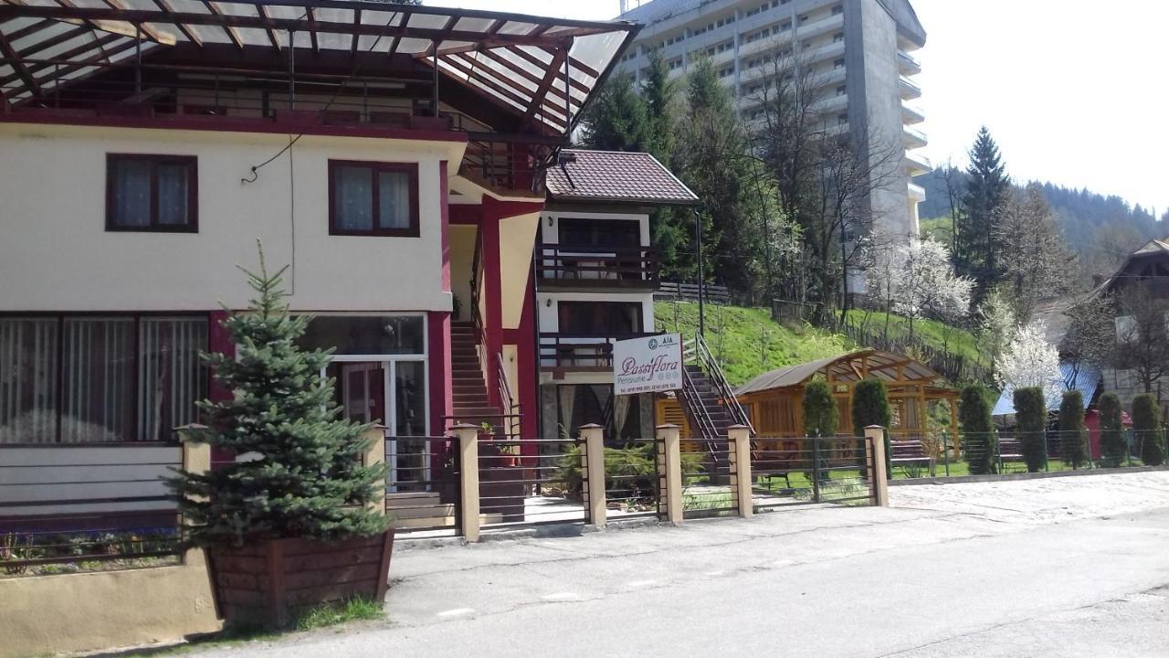 Hotel Passiflora à Voineasa Extérieur photo