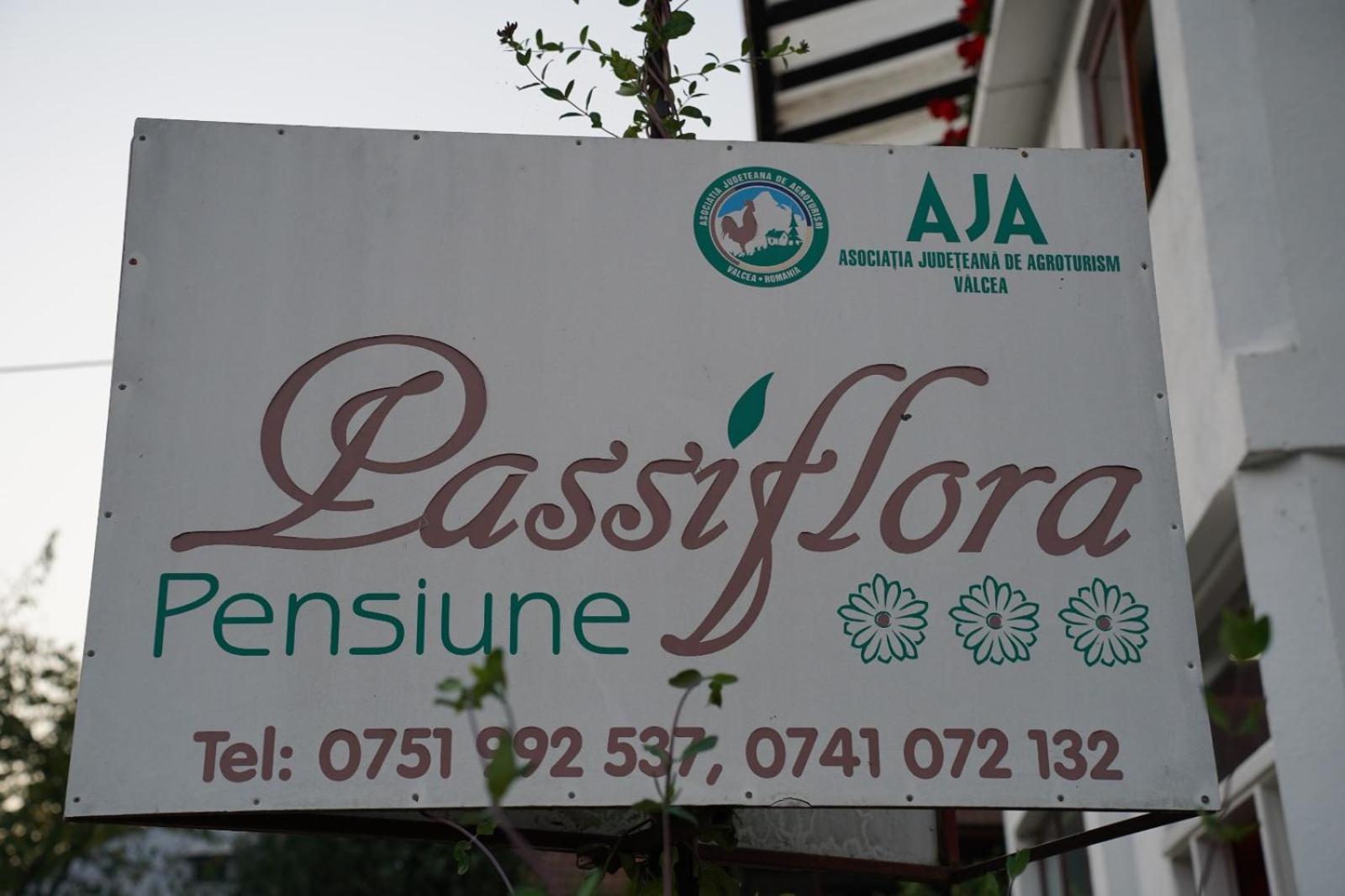 Hotel Passiflora à Voineasa Extérieur photo